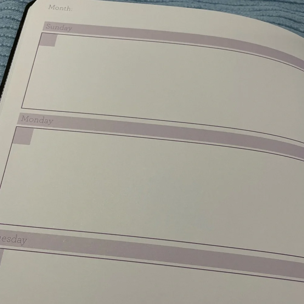 Purple & gold Undated Planner